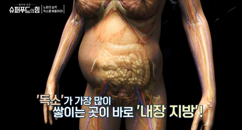 [소식] tvn 슈퍼푸드의힘 87화 - 채송희 원장님